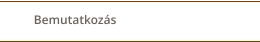 Bemutatkozás